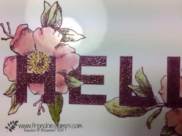 Floral Statements, Stampin'Up! 48 Color embossing, Frenchiestamps