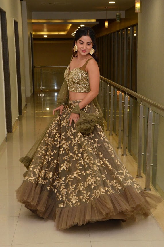 Kashmira Pardeshi at Narthanasala Pre-Release