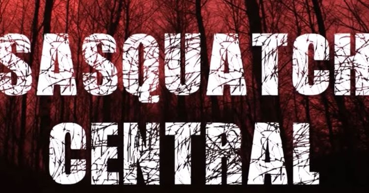 Myakka Skunk Ape Footage