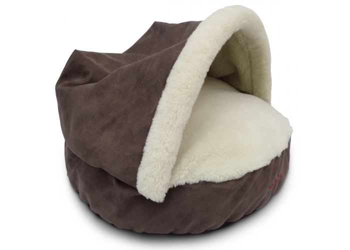 15 Favourite Winter Warmers for Dogs Australian Dog Lover