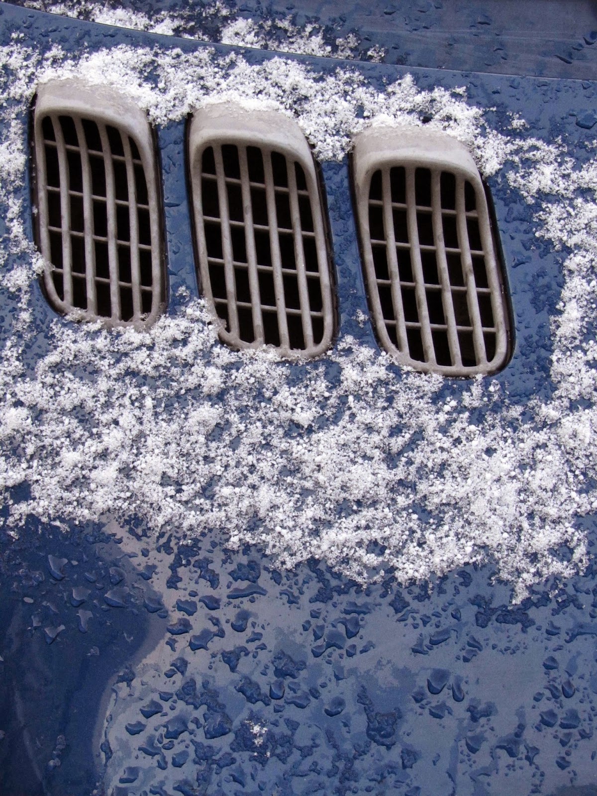 grids of blue car with snow