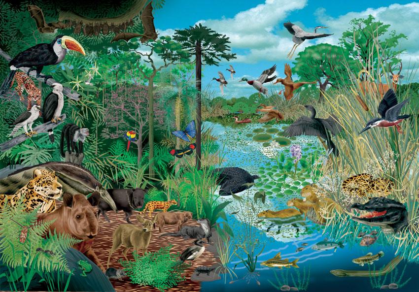 ¿Que Es Ecología? ¿Que Es Ecología?
