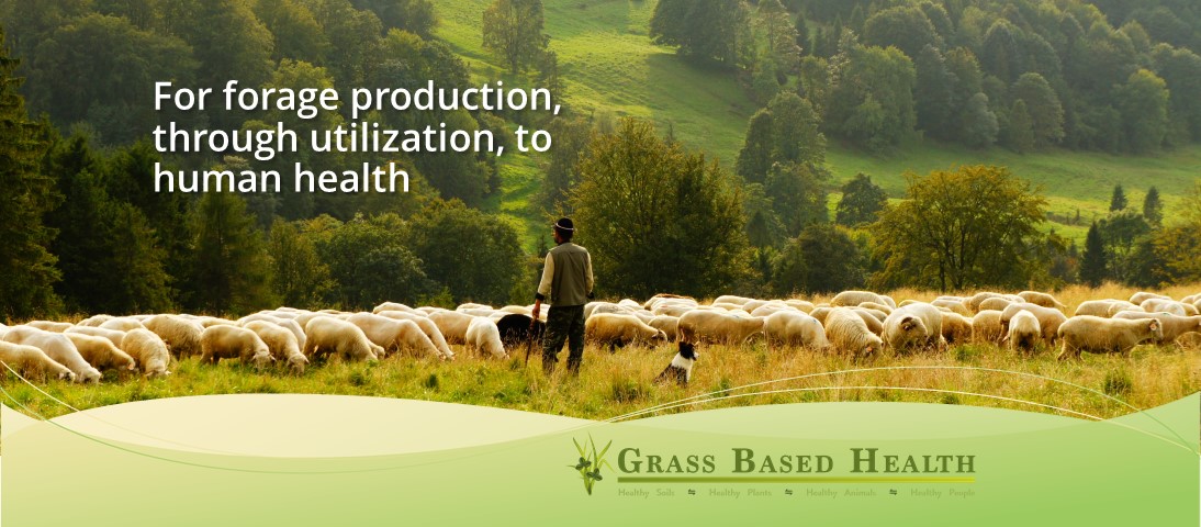 Grass Based Health