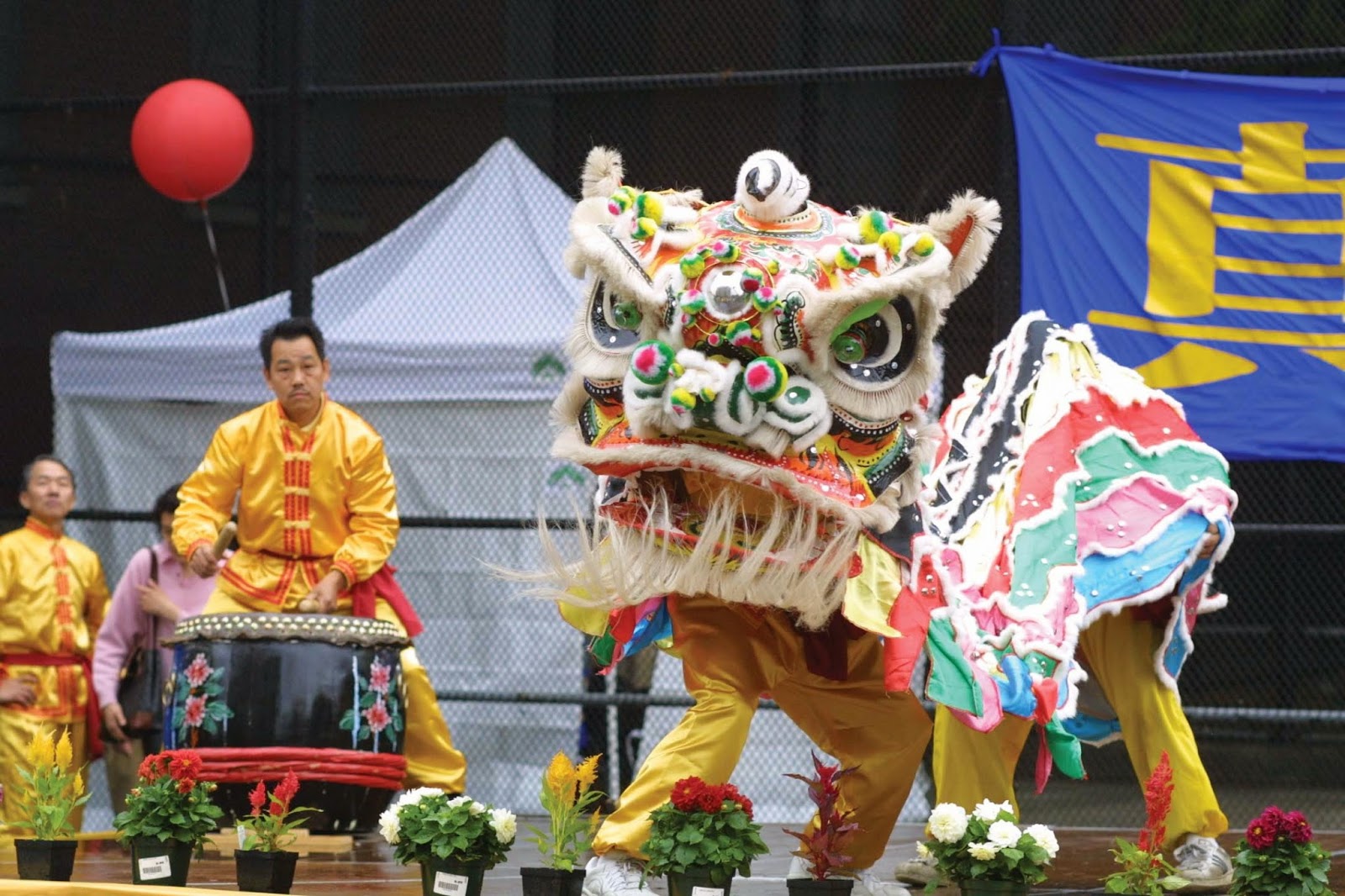 purpura: LA DANZA DEL LEÓN