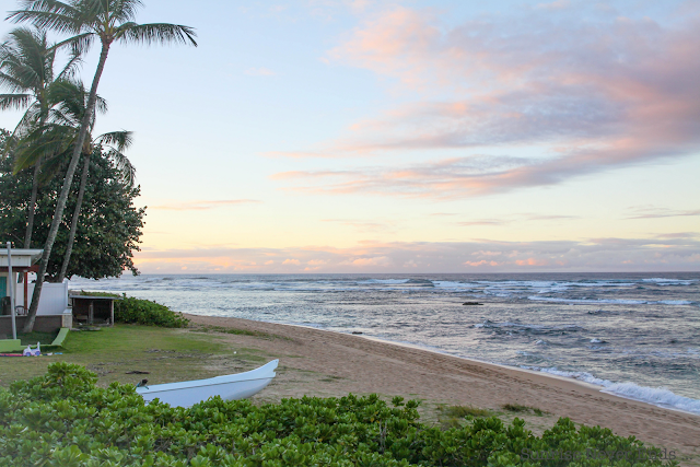 haleiwa,hawaii,north shore,oahu,paradise,a beachy life,surf,surf culture,beach life, beach girl