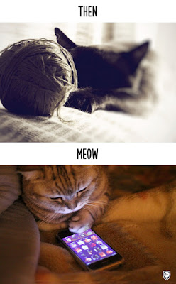 Resultado de imagem para gato antes e depois  da tecnologia