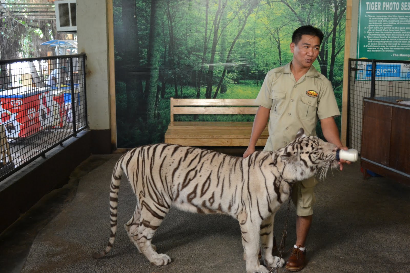 Cessbomb's Journey Mission Zoobic Safari!