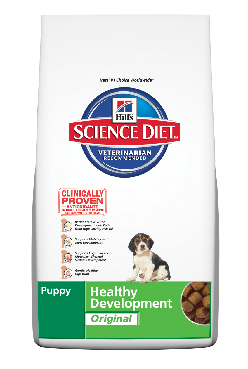 Little Pet House Your Budget Friendly Online Pet Shop in Singapore