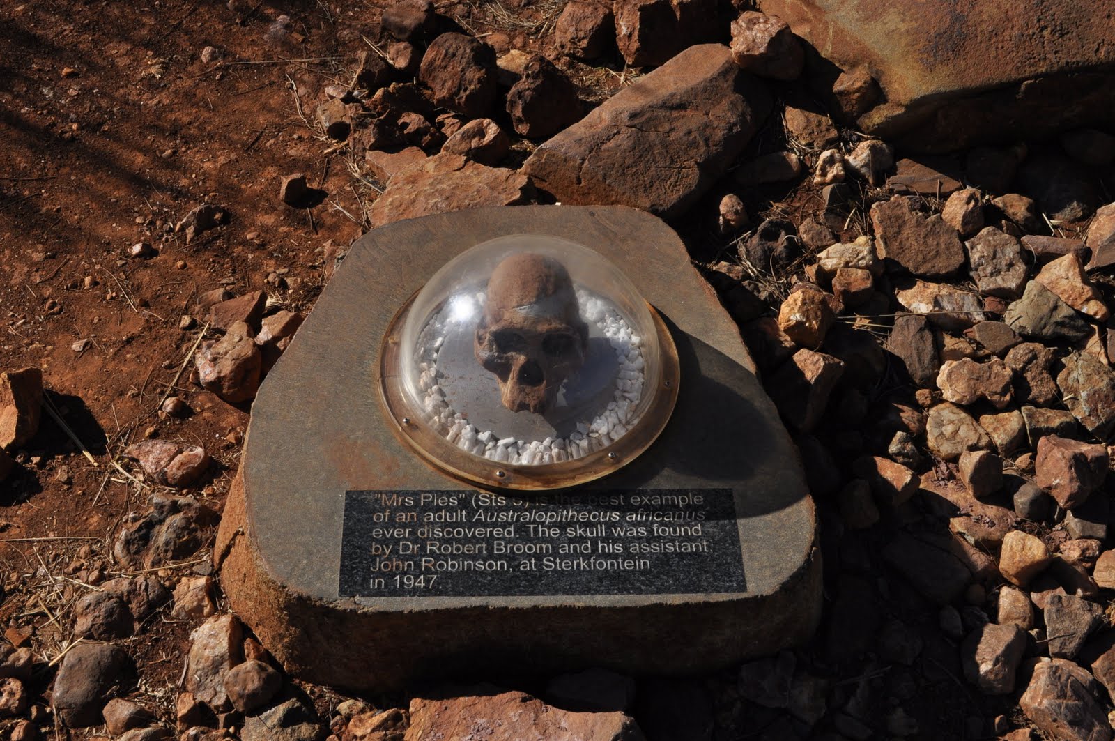 A South-African journey: The Cradle of Humankind