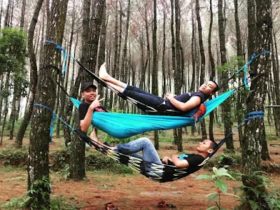 foto hammock di top selfie