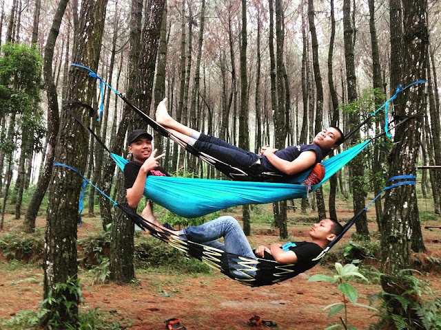 hammock di top selfie foto hammock di top selfie