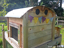 bunting coop fly natural chicken picnic barn area