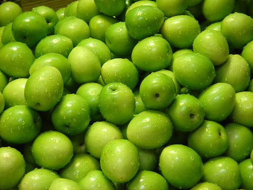 Hasil carian imej untuk buah bidara