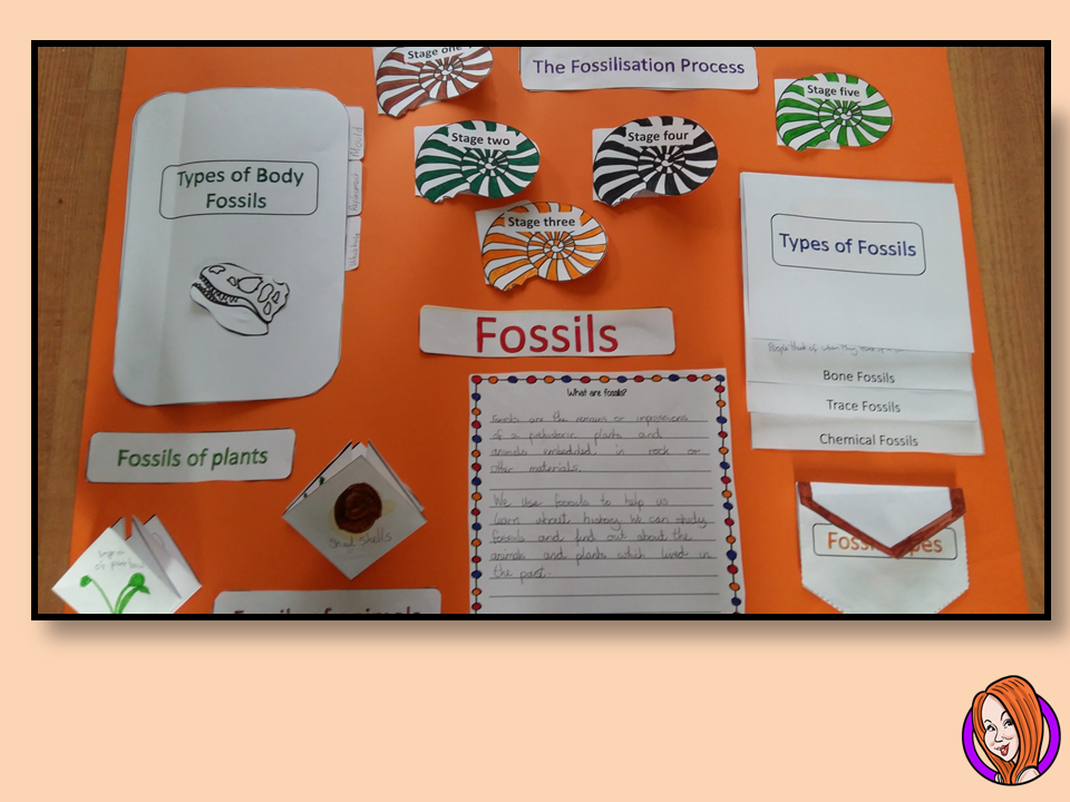 Let's Learn About Fossils - The Happy Teacher