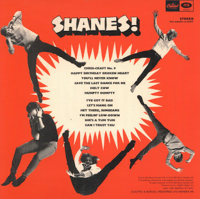 The Shanes (Sweden)