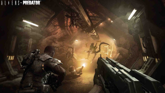 aliens vs predator pc aliens vs predator pc