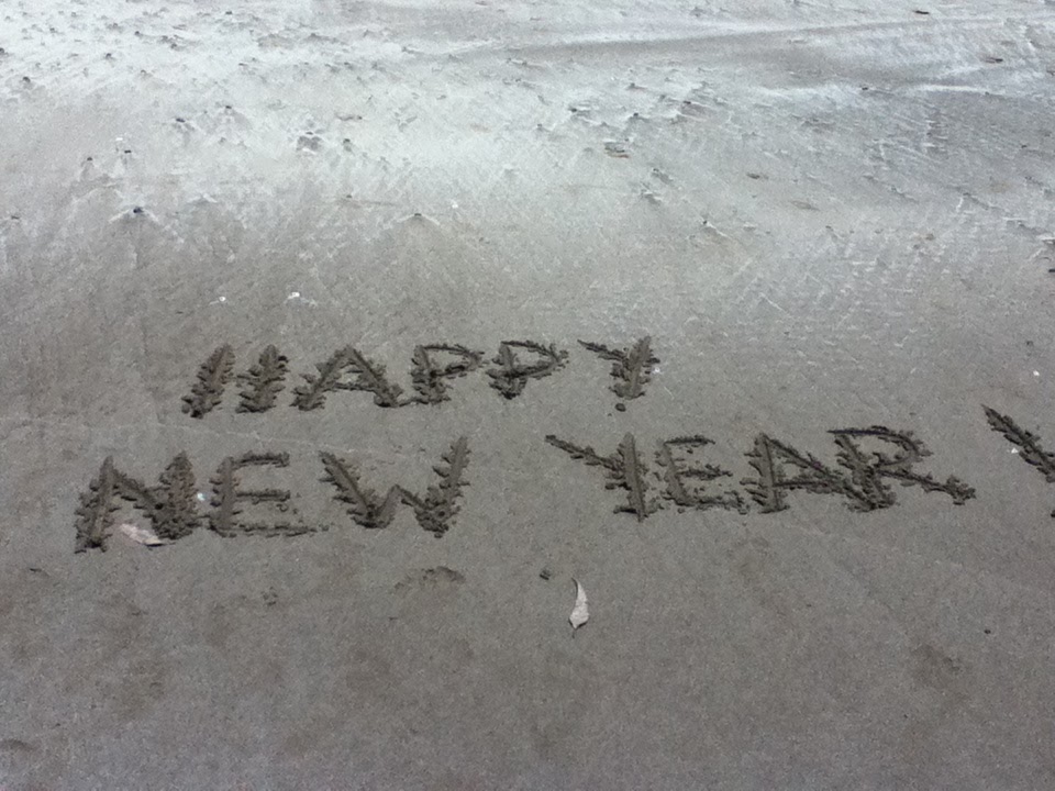 Alison in Aotearoa/ New Zealand: December 2013