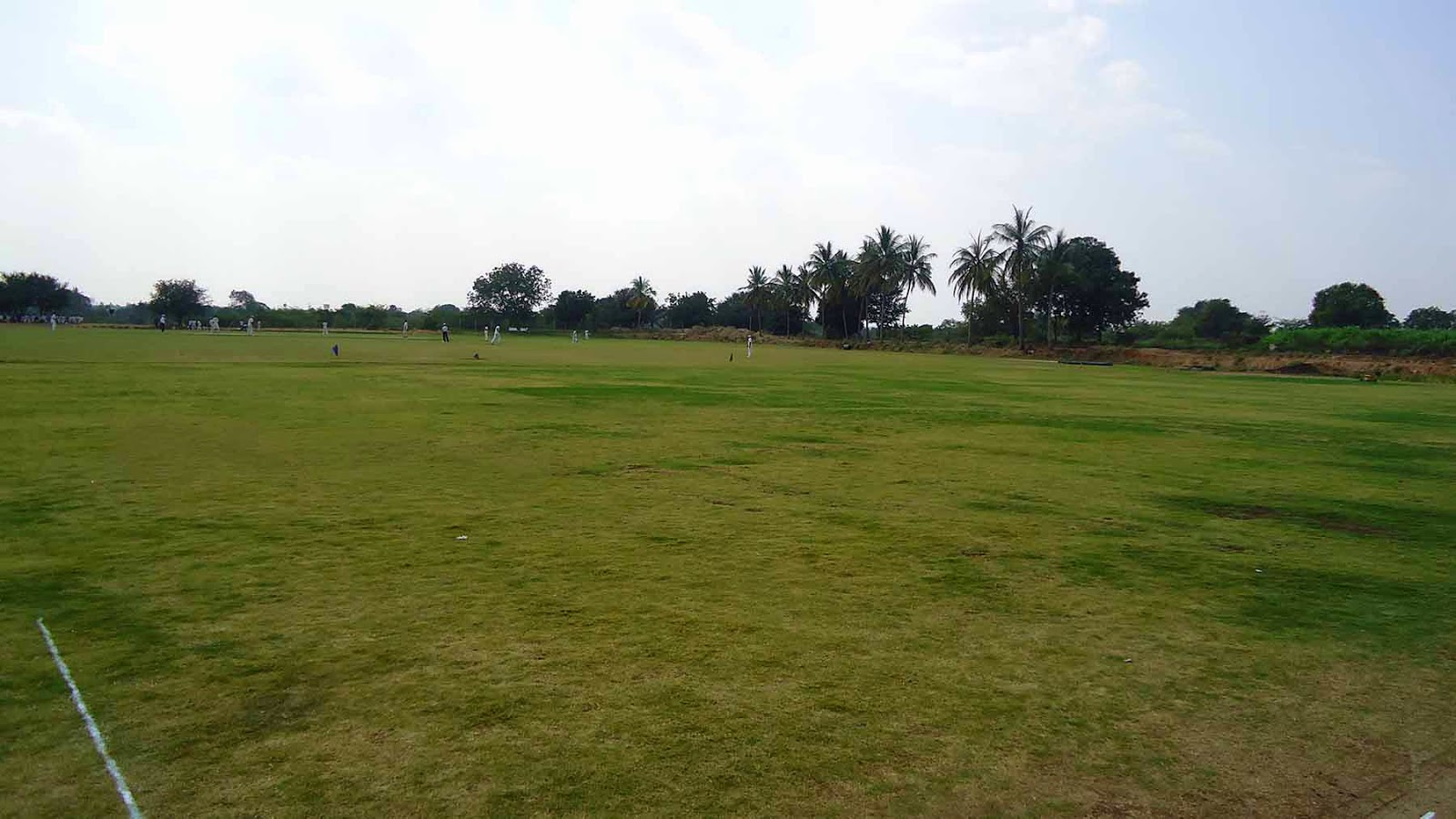 CNR Cricket Grounds in Hyderabad for Rent Cricket Grounds in