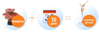 30 дней и все Грибы Рейши