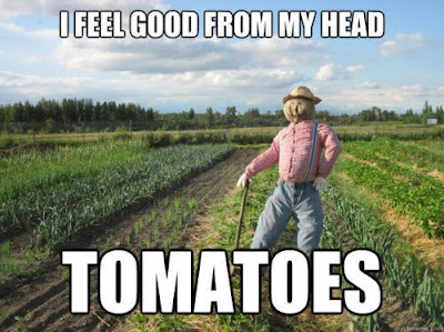 Corny Jokes Corny Jokes