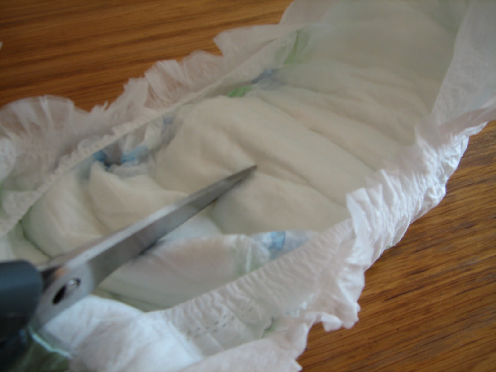 Science Matters Dissecting a Diaper