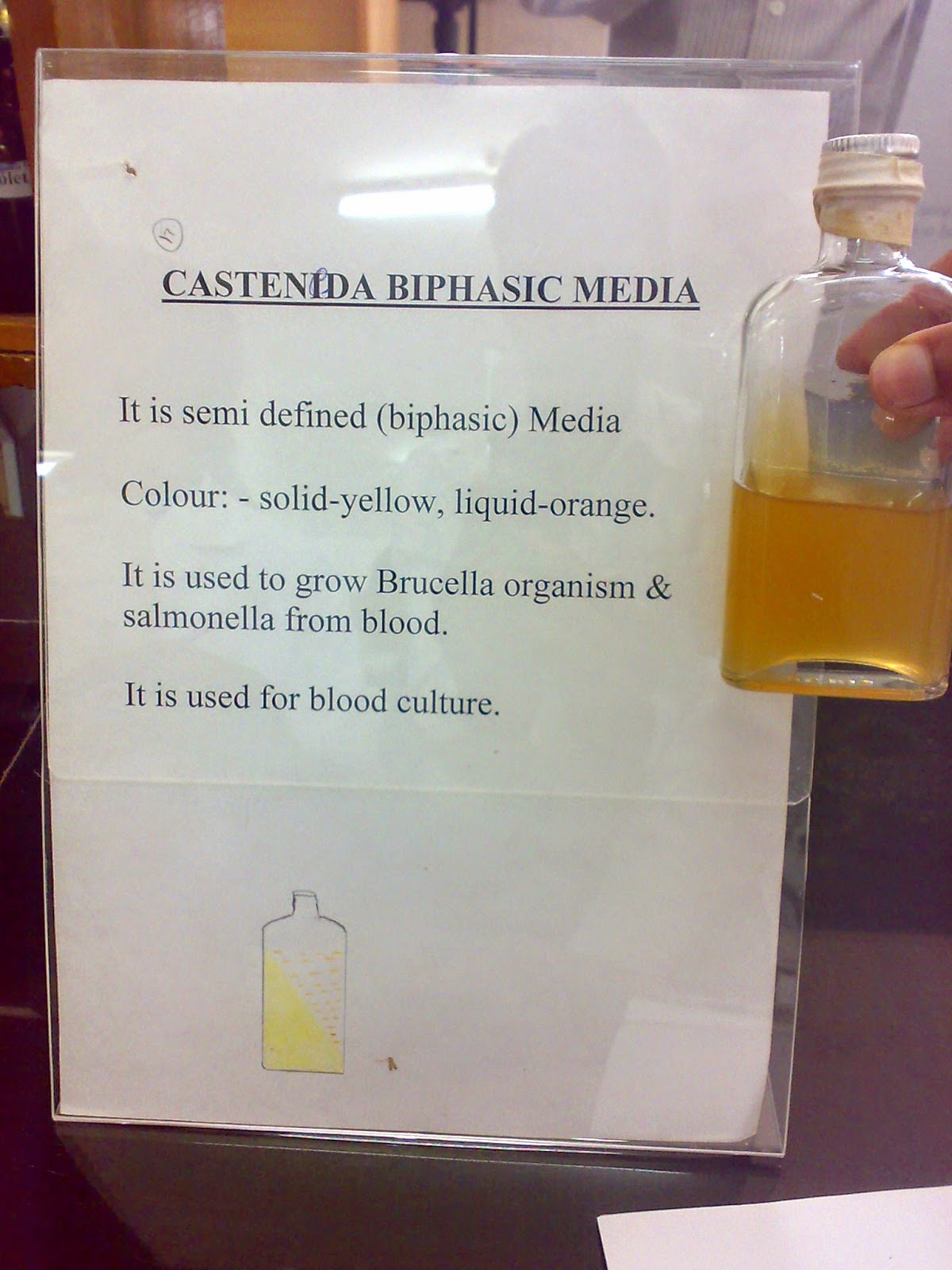 CASTANEDA BIPHASIC MEDIUM Medicos Circle Academy