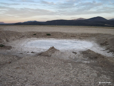 Las arenas movedizas de la laguna de Sayula - Hechas por el hombre