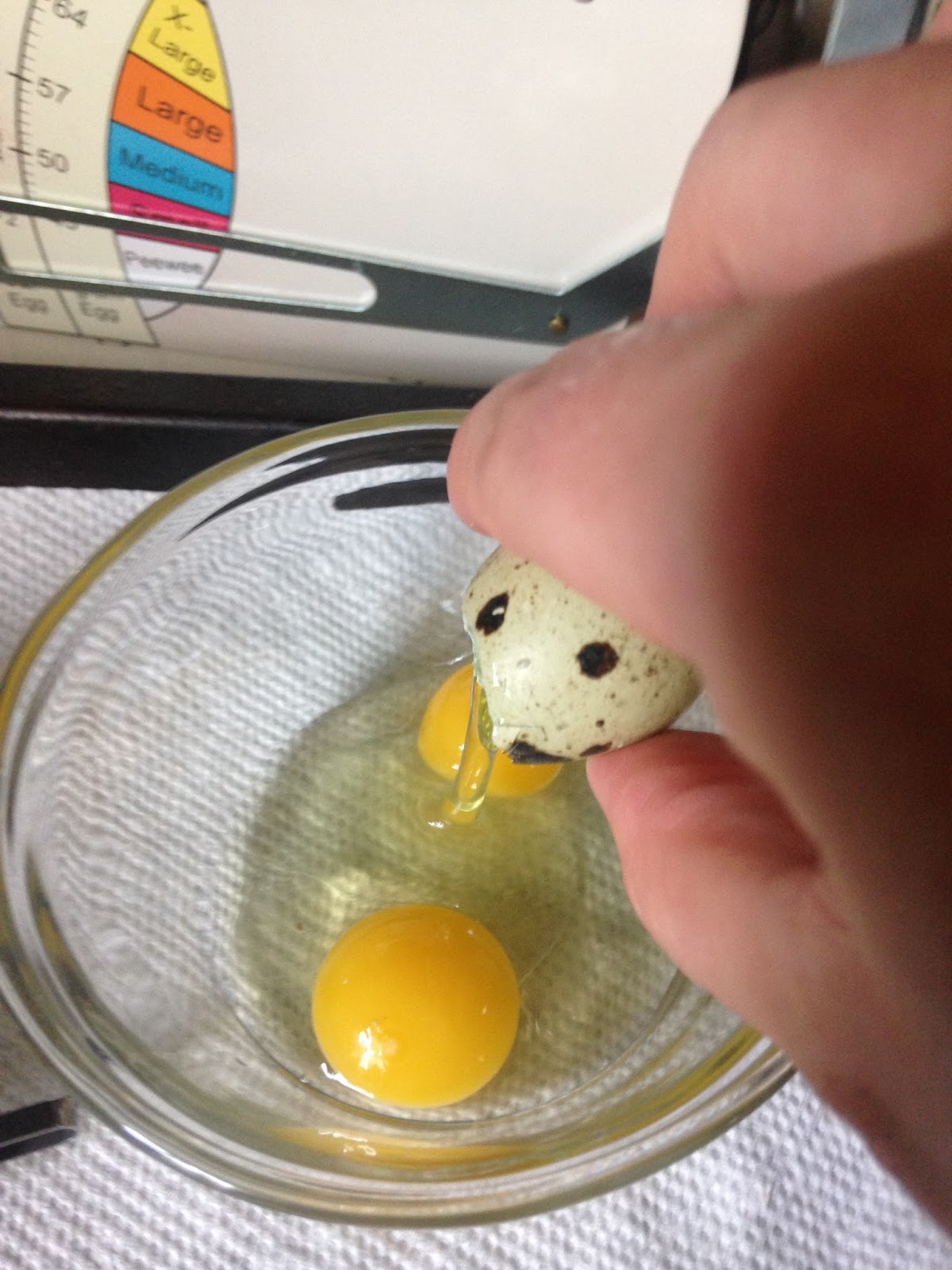 Midnight Acres Farm How to Crack a Quail Egg