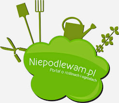 niepodlewam.pl