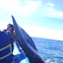 Ballena da aletazo a mujer durante excursión turística
