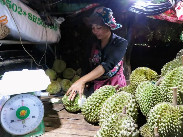 Cutting a durian in Siem Reap Cambodia
