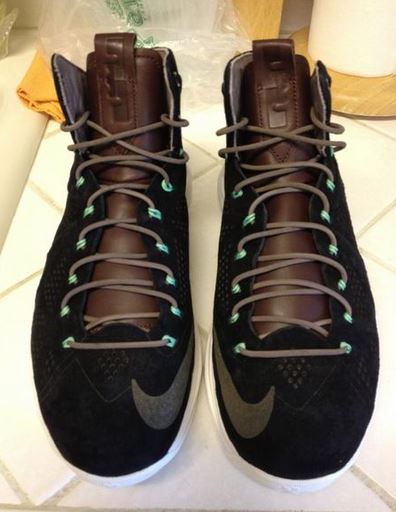 lebron 10 ext mint