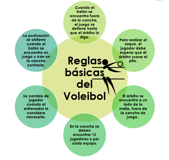 Deportes Reglas Básicas del Voleibol