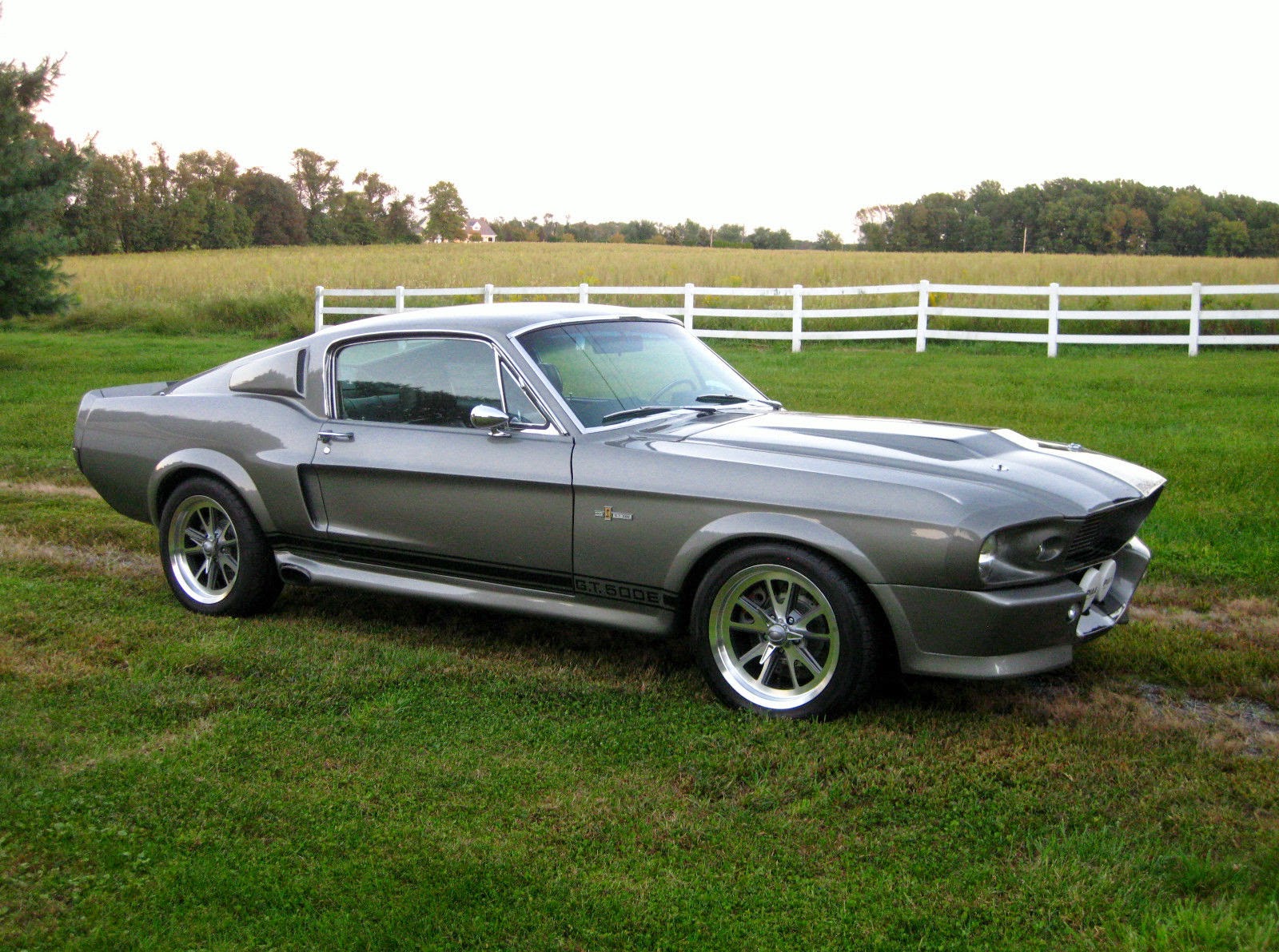 Mustang Gt Eleanor 1967