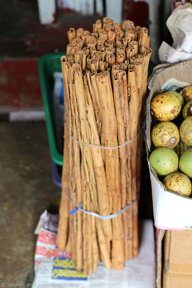 cynamon cejloński - ogrody przypraw na Sri Lance