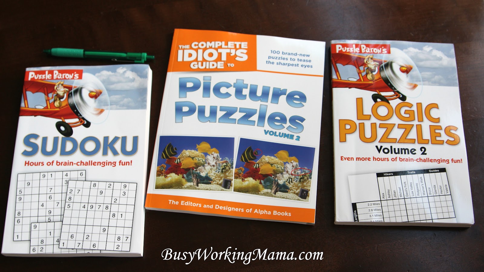 Brain Teaser Books For The Family Giveaway