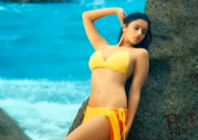Sexy Alia Bhatt Photos In Bikini Hot Images