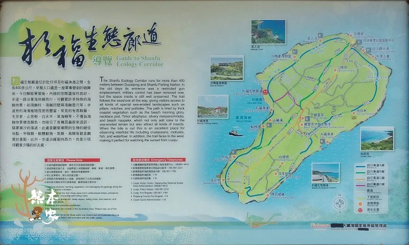小琉球杉福生態廊道|舊砲陣地|觀夕陽、綠蠵龜、海蝕地景秘境