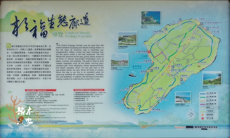 小琉球杉福生態廊道|舊砲陣地|觀夕陽、綠蠵龜、海蝕地景秘境