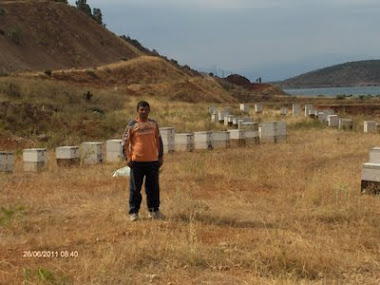 Νέος Μελισσοκόμος