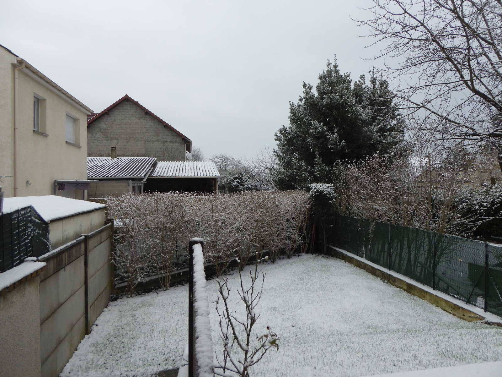 Au fil des jours en 2020: Il fait très froid mais...