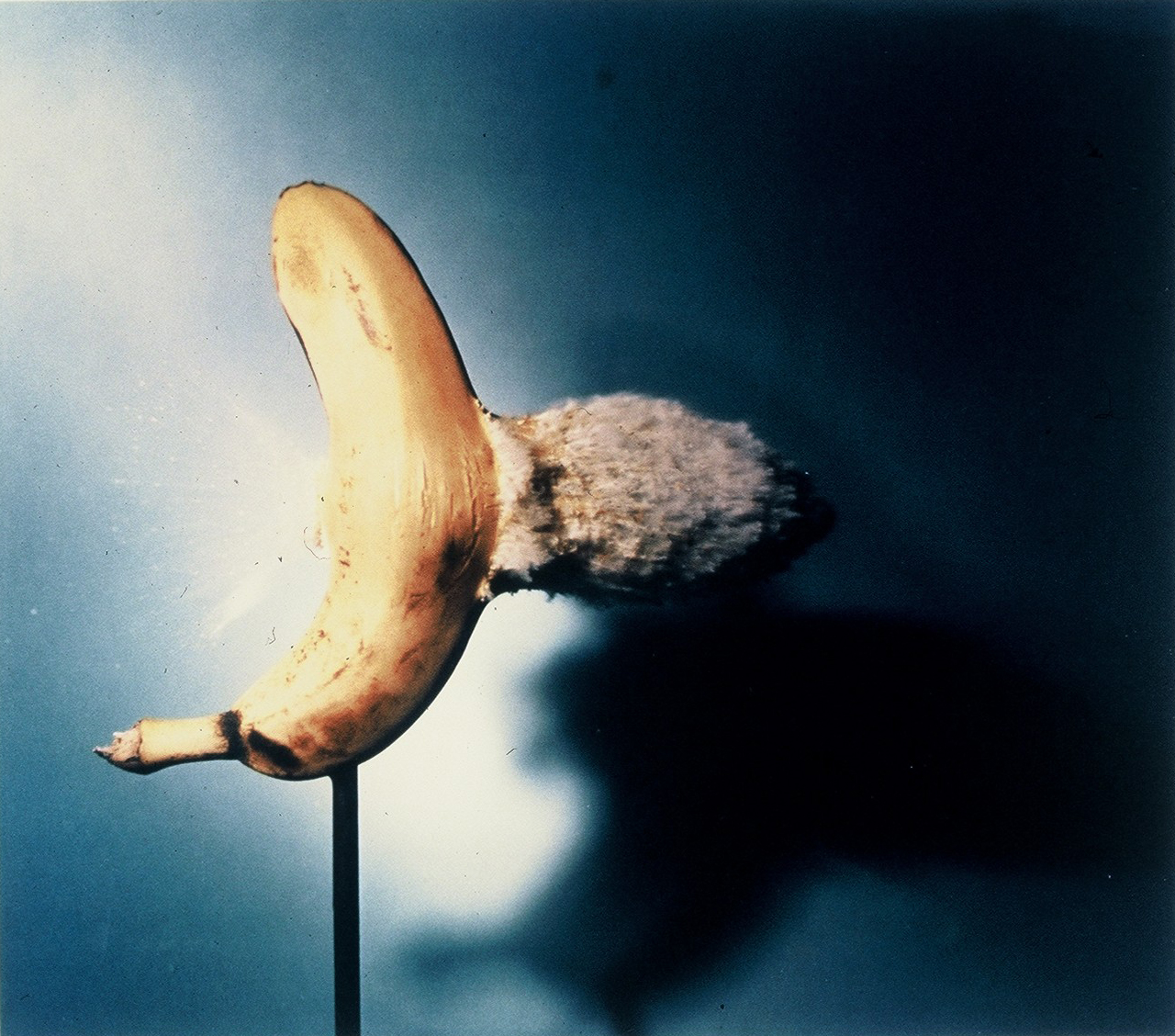 Los Grandes Fotografos Harold Edgerton (19031990)