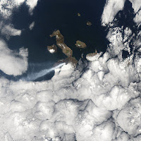 Volcan Sierra Negra eruption in 2005, Isabela Island, Galapagos