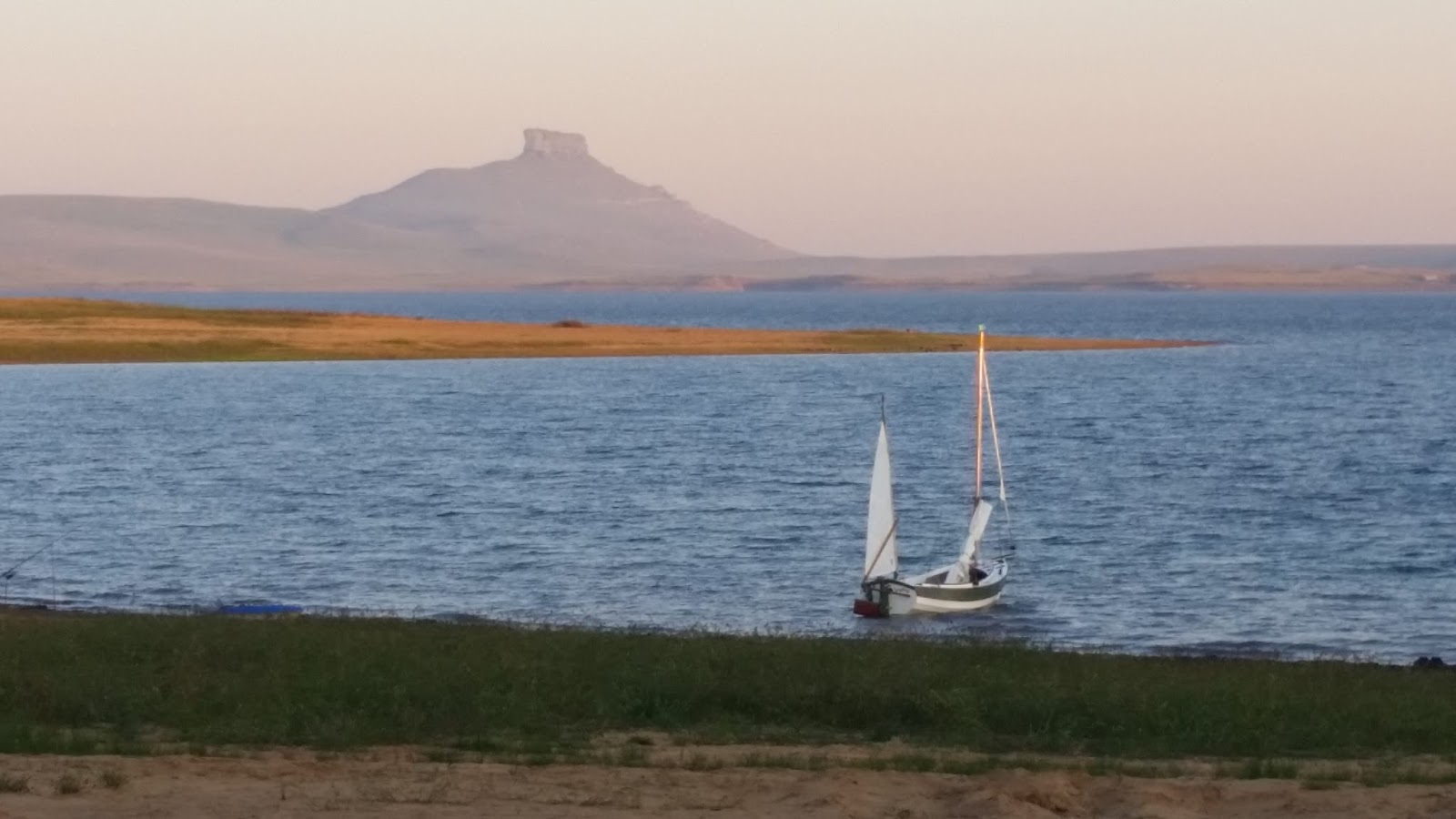The Log of Spartina: a mutual acquaintance, great progress