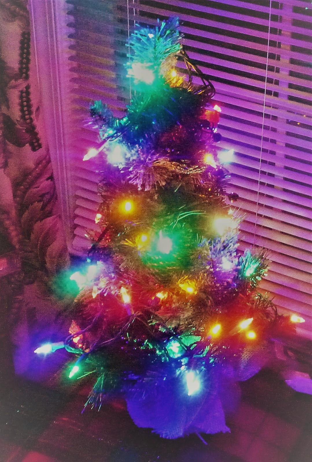 REFLECTIONS Our Smallest Christmas Tree Yet