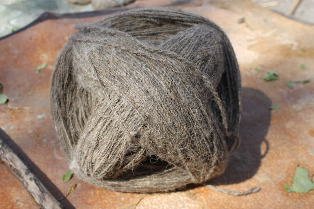 Sheep's wool georgia