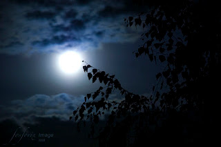 dark clouds,a moon and a tree