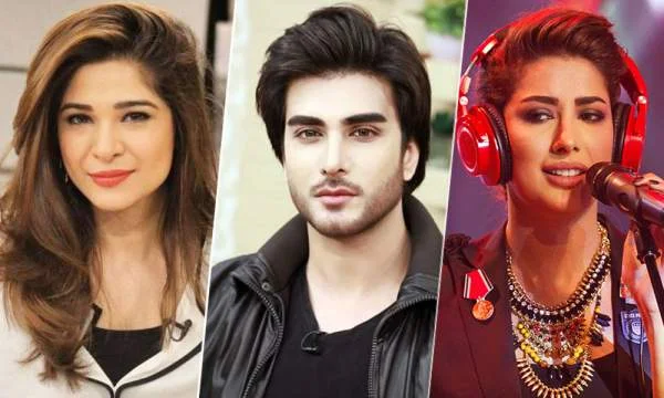 pakistani actors on surgical stike 2.0