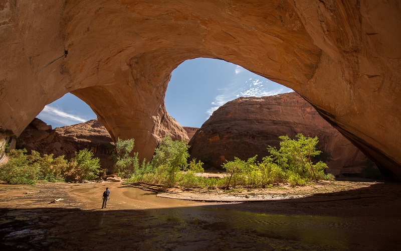 каньон бакскин-галч. Black gulch. Grand staircase-escalante national monument, utah. акейдия (национальный парк). Black gulch.