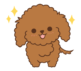 Toy Poodle Choco ( Animated.
